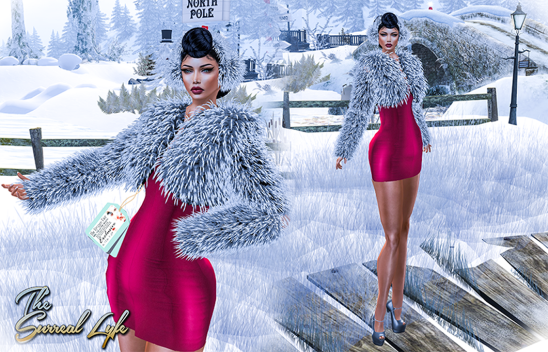 The Surreal Lyfe feat Avale @ The Frozzen Fair  and Maxi Gossamer @ Winter Trend SL 2014 v1